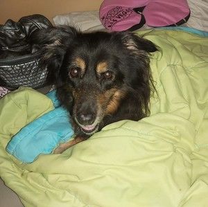 Meet your Posher, Sherri